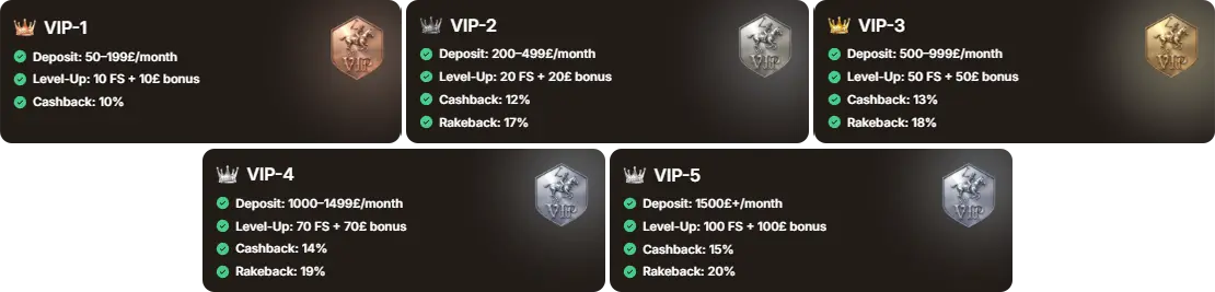 SpinPolo VIP-Program